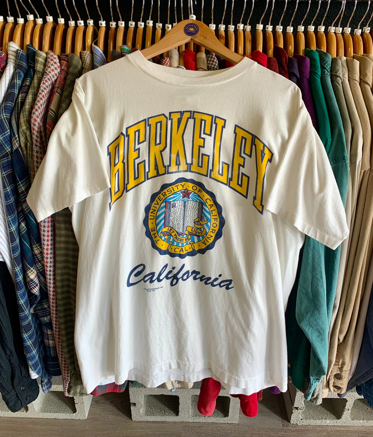 Vintage Early 90’s UC Berkeley Collegiate Tee- Sz XL