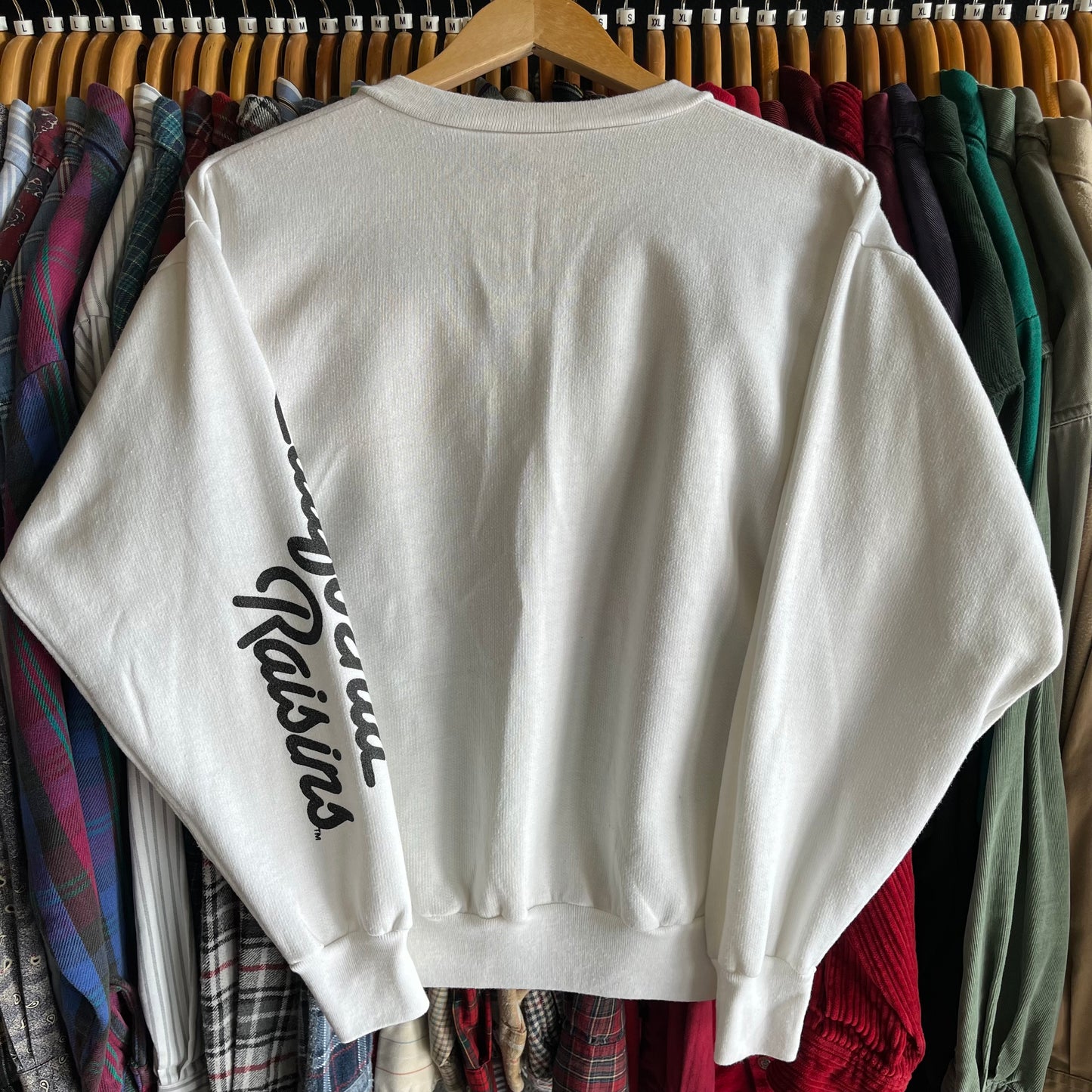 Vintage 80’s California Raisins Sweatshirt- Sz Sm