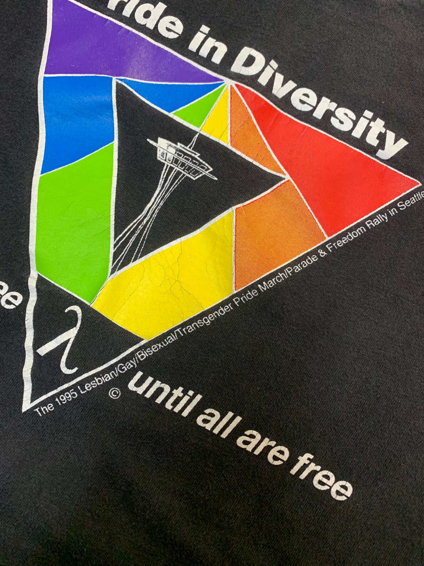 Vintage 90’s Pride Tee- Sz XL