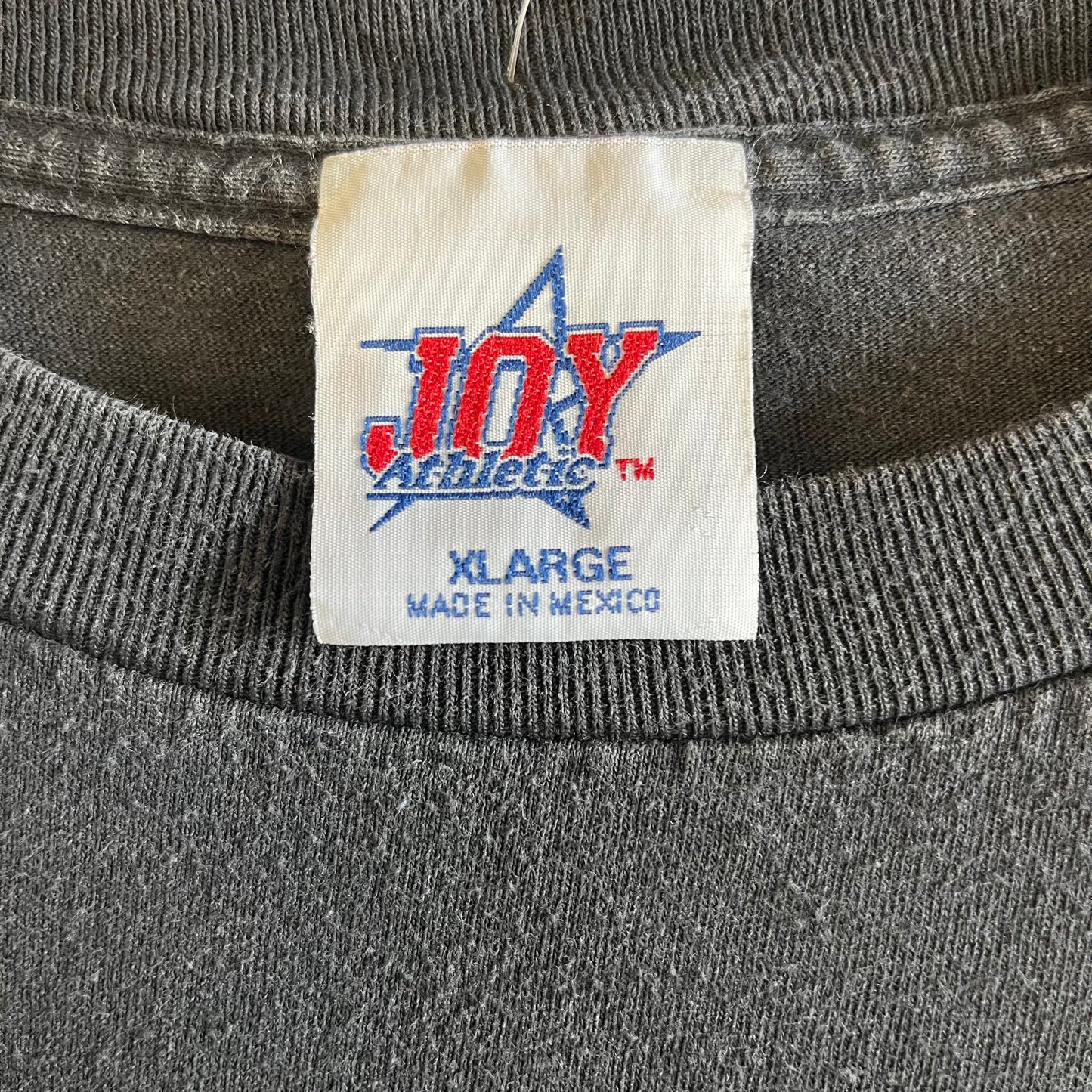 Vintage 90’s Minor League Baseball Tee- Sz XL