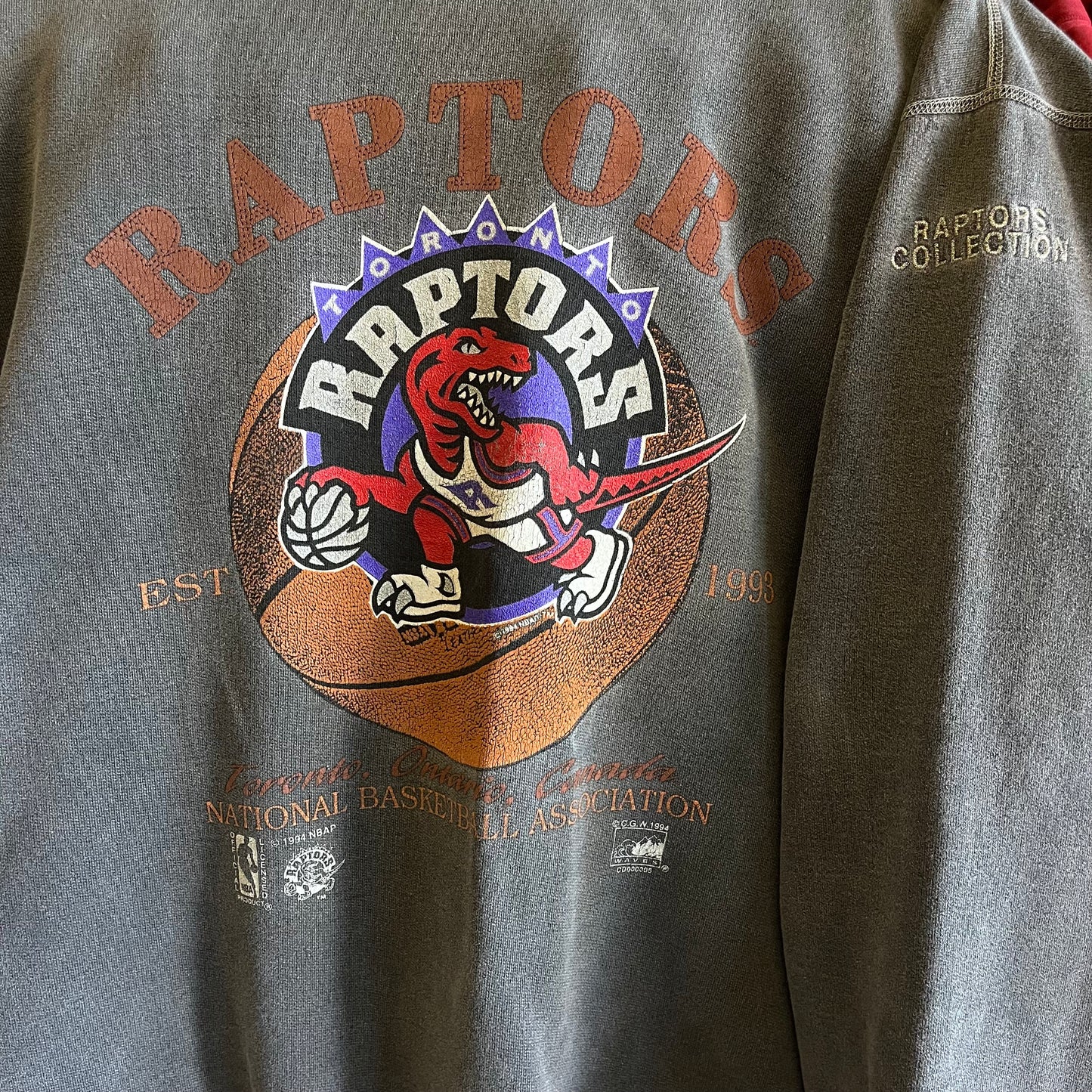 Rare Vintage 90’s Toronto Raptors Sweatshirt- Sz XL