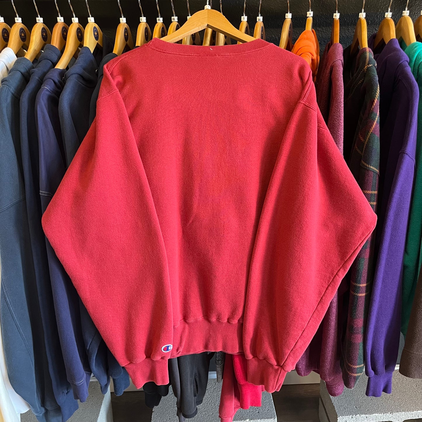 Vintage 90’s Embroidered Champion Brand Redskins Sweatshirt- Sz Lg