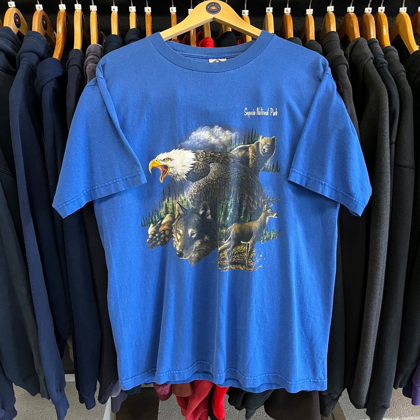Vintage Sequoia National Park Tee- Sz Lg
