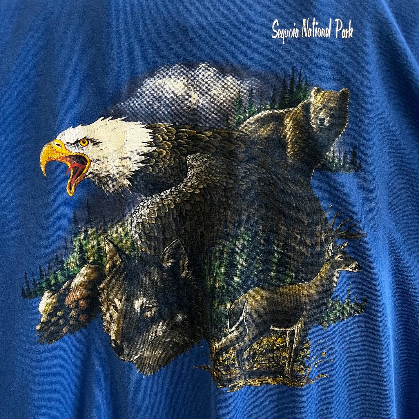 Vintage Sequoia National Park Tee- Sz Lg
