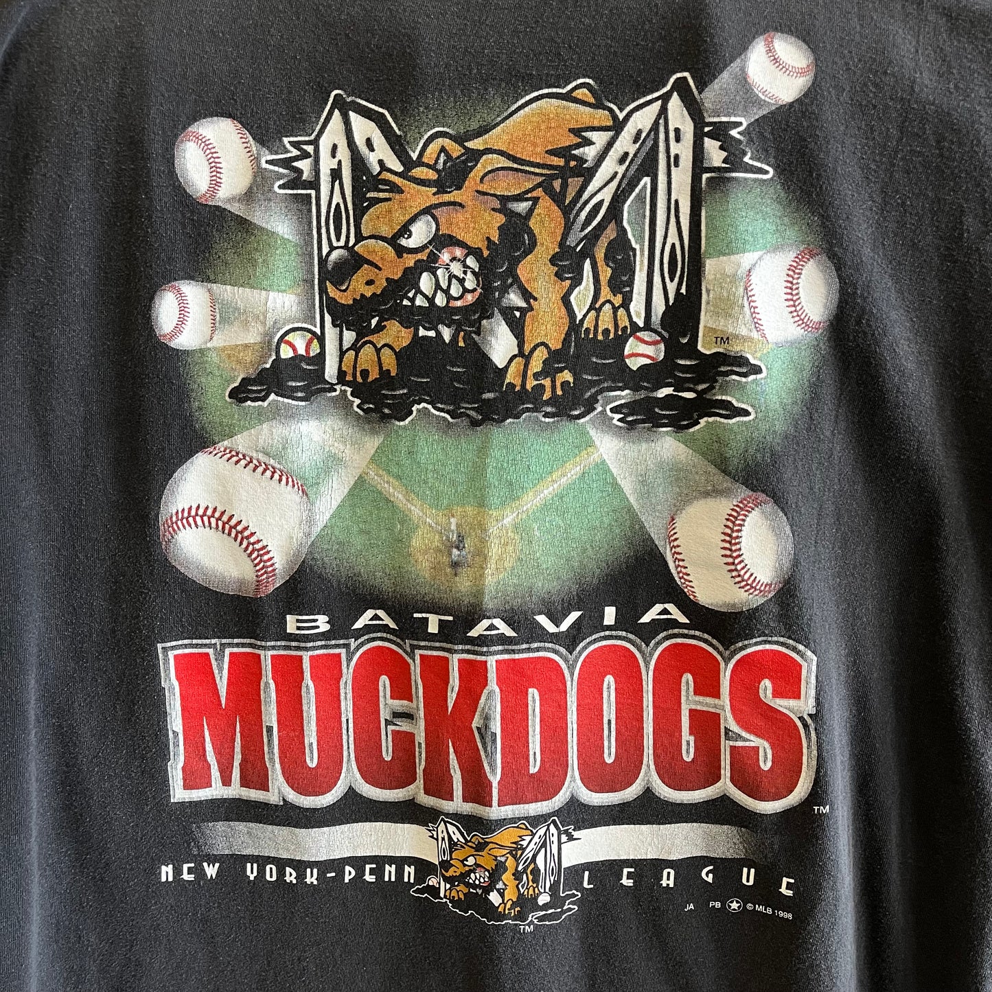 Vintage 90’s Minor League Baseball Tee- Sz XL