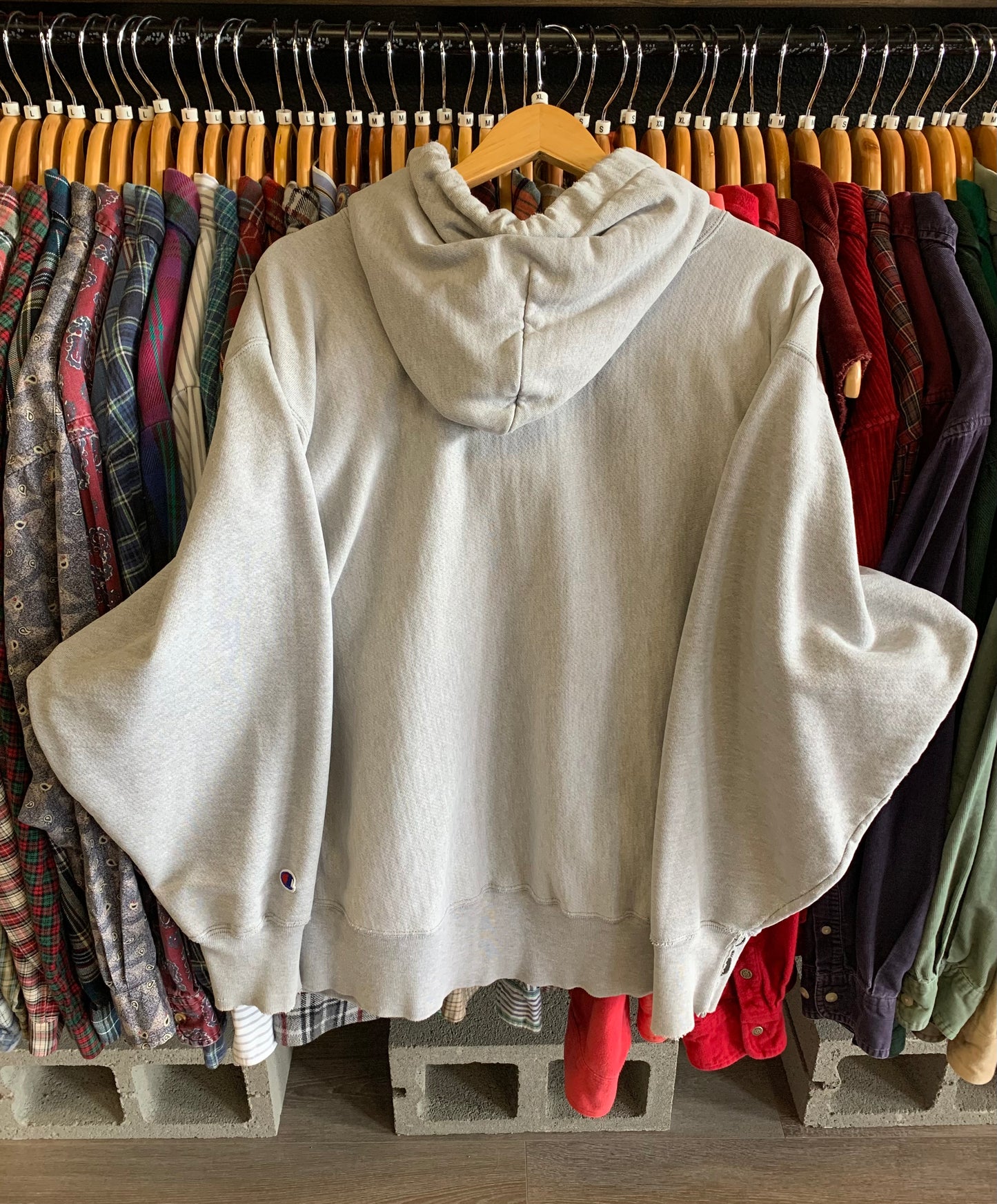 Vintage Green Bay Packers Champion Reverse Weave Hoodie- Sz XL